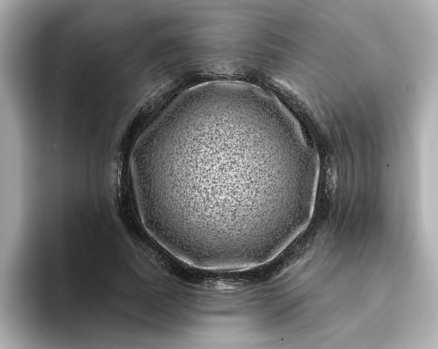 X0000095130739200712211329