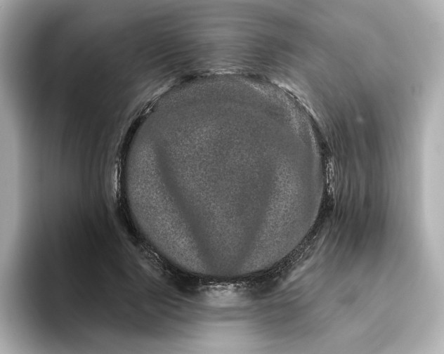 X0000095130740200712211329