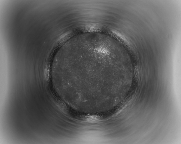 X0000095130741200712211329