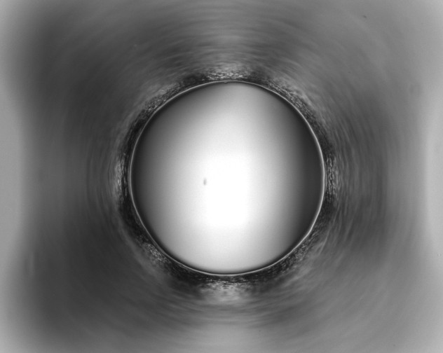 X0000095130742200712211329