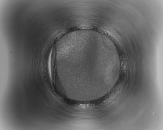 X0000095130744200712211329