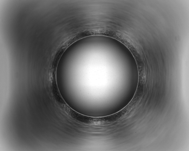 X0000095130746200712211329