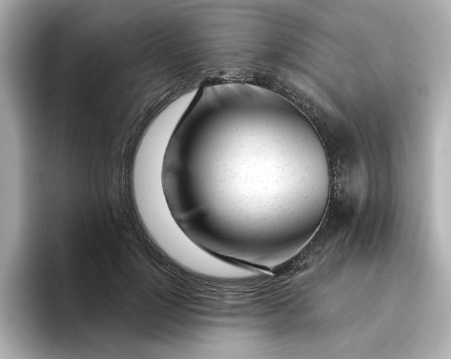 X0000095130748200712211329