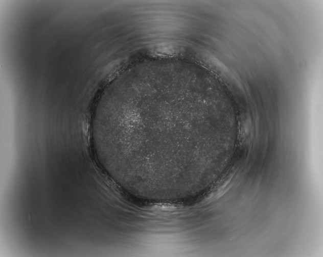 X0000095130749200712211329