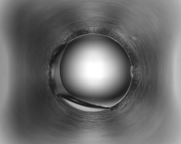 X0000095130750200712211329