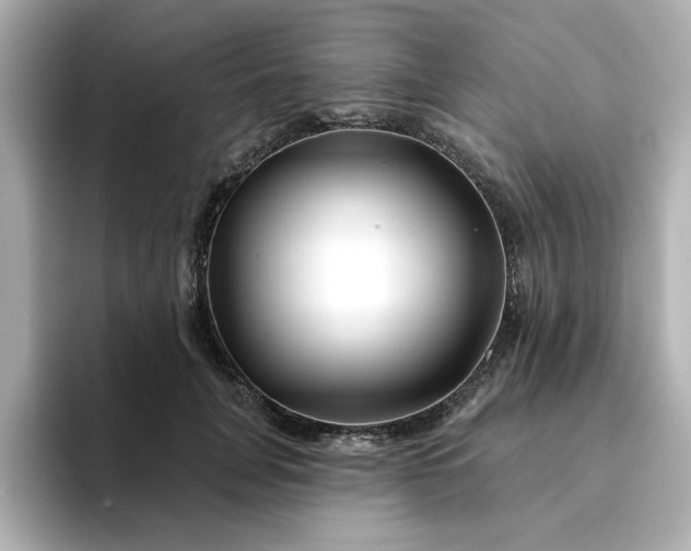 X0000095130751200712211329