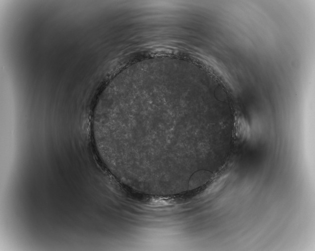 X0000095130753200712211329