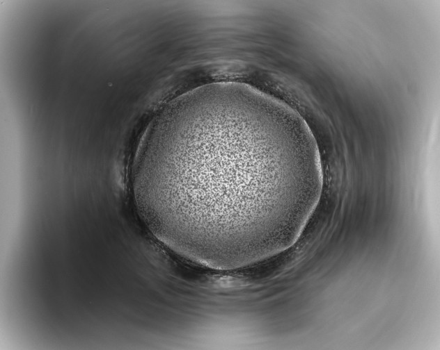 X0000095130755200712211329