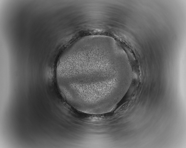 X0000095130756200712211329