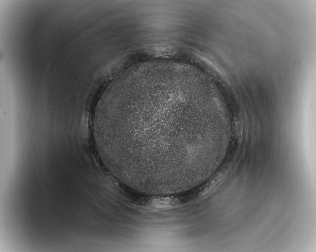 X0000095130757200712211330