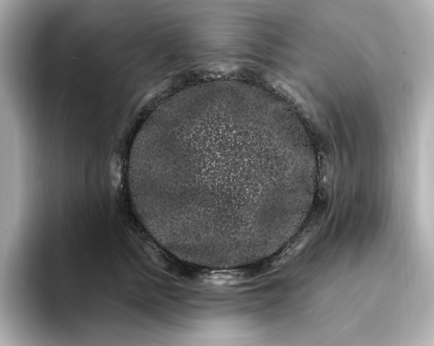 X0000095130758200712211330