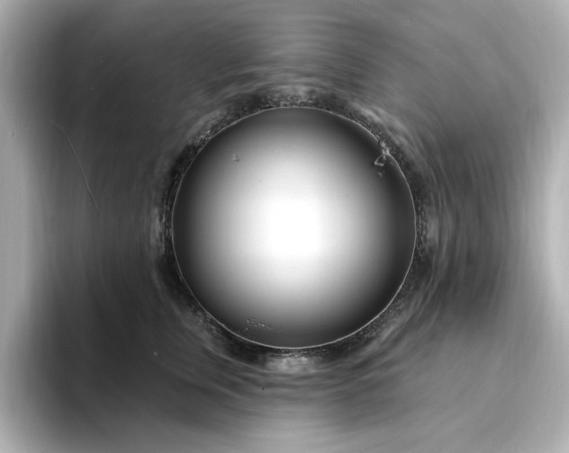 X0000095130759200712211330