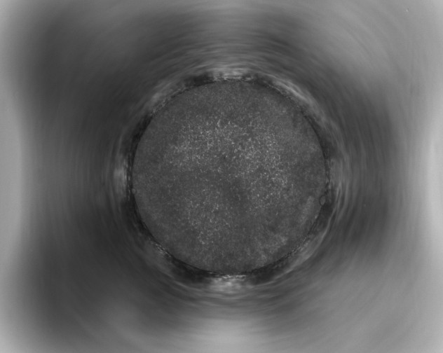 X0000095130761200712211330