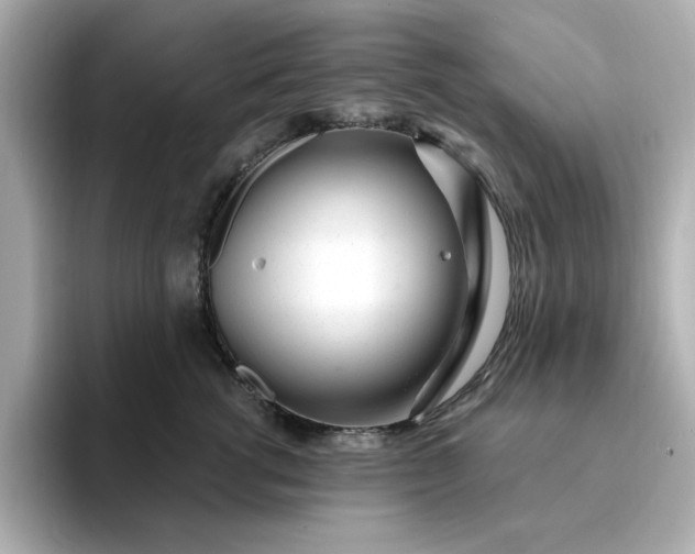 X0000095130762200712211330