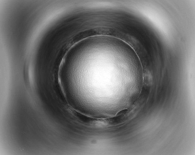 X0000095130765200712211330