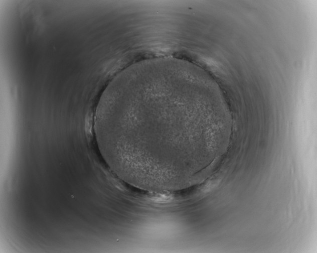 X0000095130768200712211330