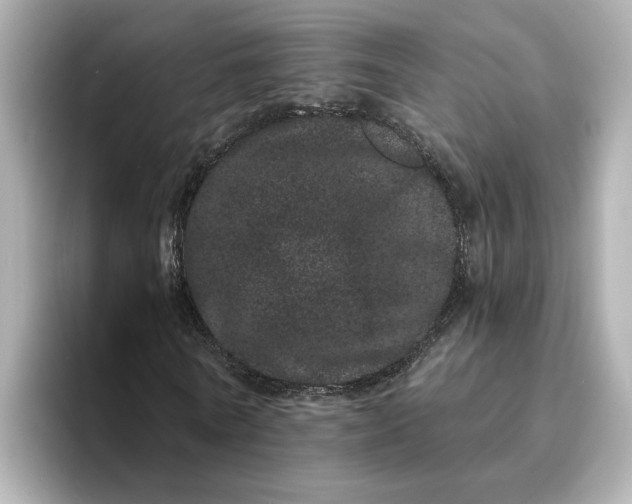 X0000095130770200712211329