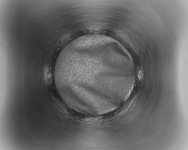 X0000095130771200712211329