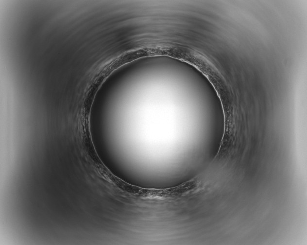 X0000095130773200712211329