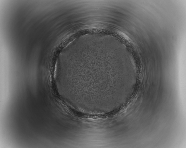 X0000095130774200712211329