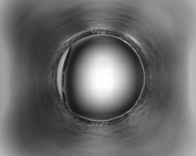 X0000095130775200712211329