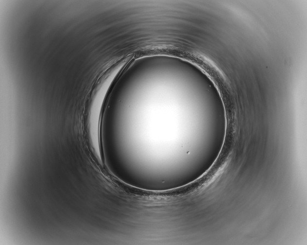 X0000095130777200712211329