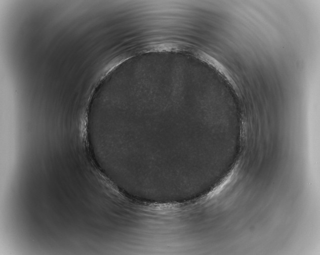 X0000095130778200712211329