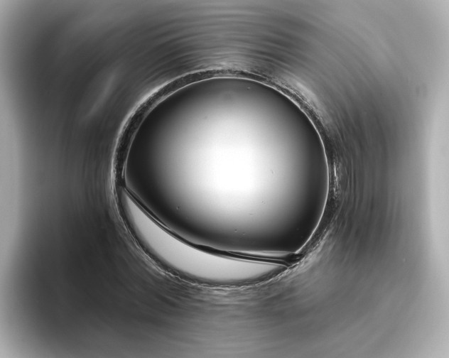 X0000095130780200712211329