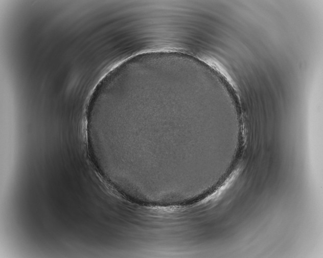 X0000095130781200712211329