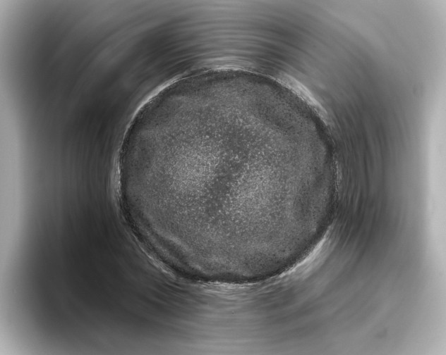 X0000095130782200712211329