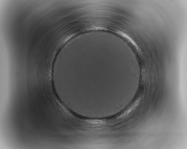 X0000095130785200712211329