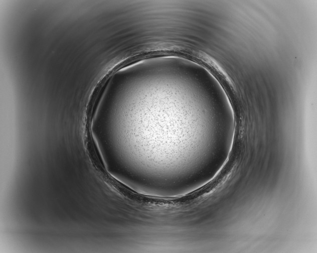 X0000095130786200712211329