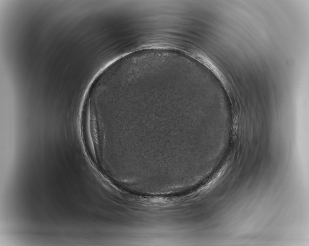 X0000095130787200712211329