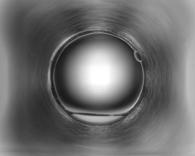 X0000095130788200712211329