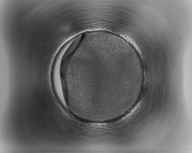 X0000095130789200712211329