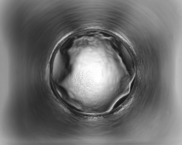 X0000095130790200712211329