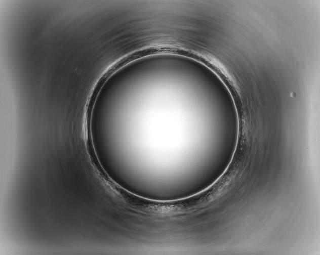 X0000095130791200712211329