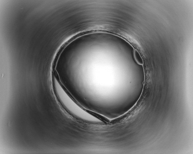 X0000095130792200712211329