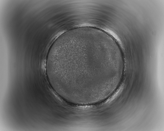 X0000095130793200712211329