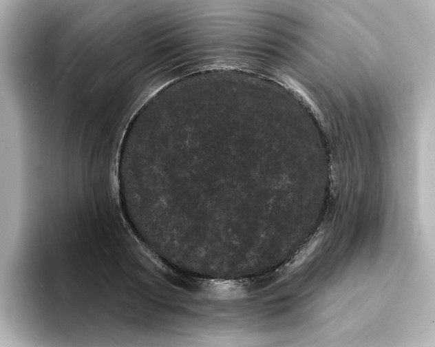 X0000095130794200712211329