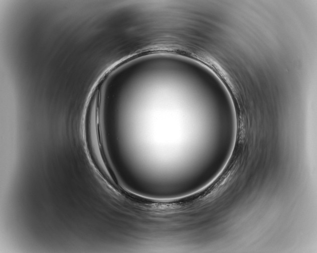 X0000095130795200712211329