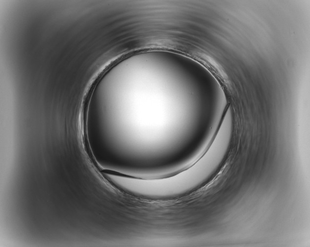 X0000095130796200712211329