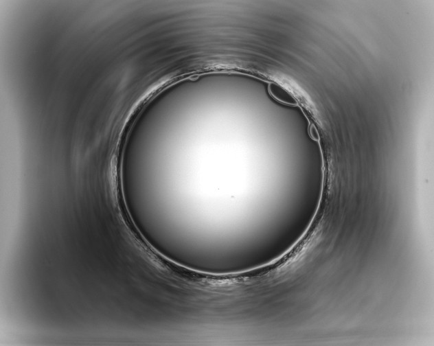 X0000095130798200712211329