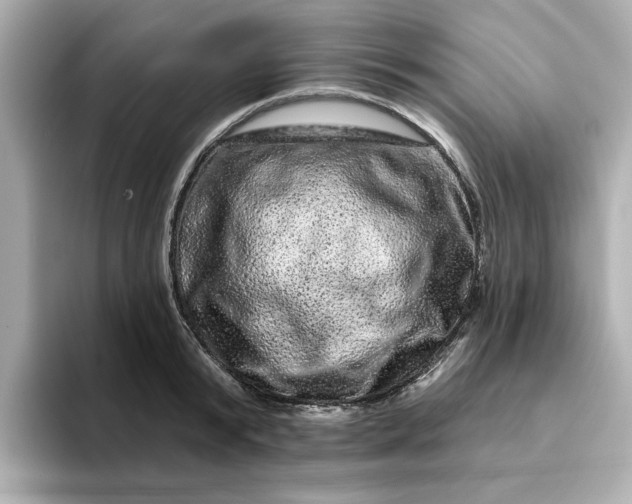 X0000095130799200712211329