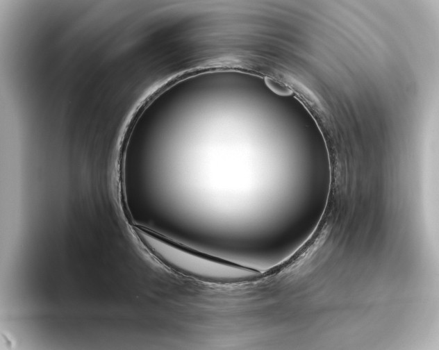 X0000095130800200712211329