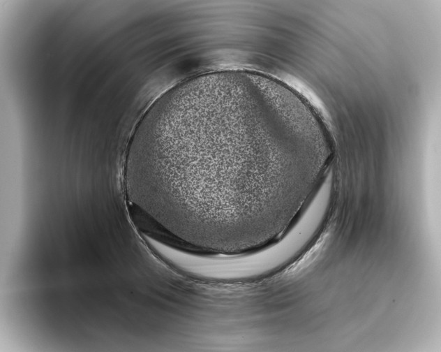 X0000095130801200712211329