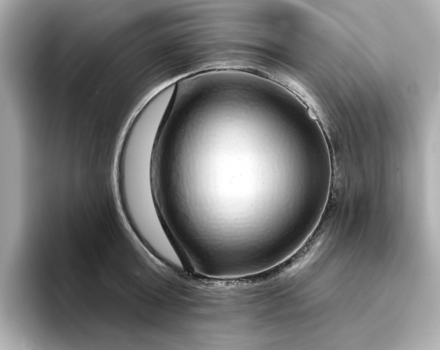 X0000095130803200712211329