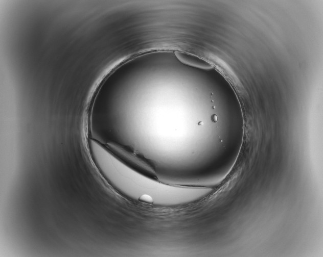 X0000095130804200712211329