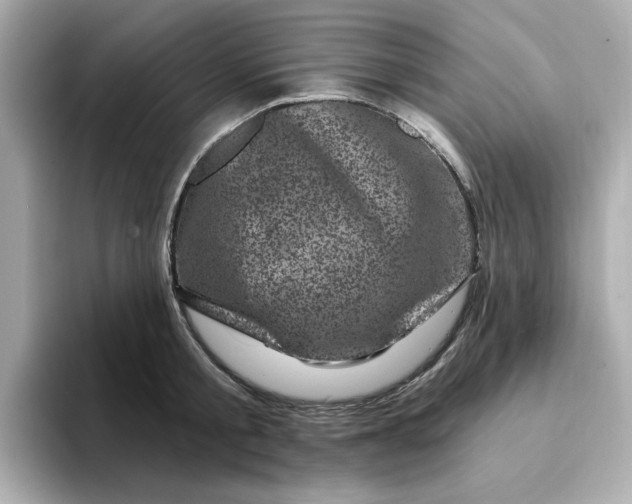 X0000095130805200712211329