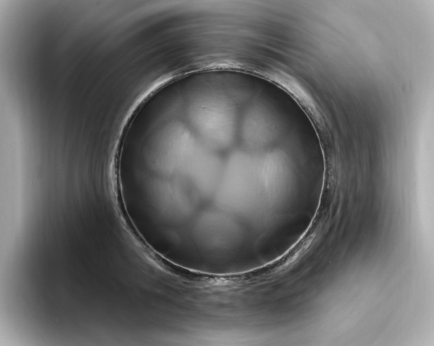 X0000095130806200712211329